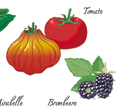 Infografik Aussaat- und Pflanzkalender 'Gartenbau' 'Gartenpflanzen' 'Saisonkalender' 'Obst' 'Brombeere' 'Tomate'